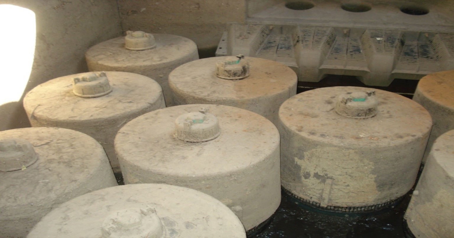 Concrete or material core samples arranged in a testing area.